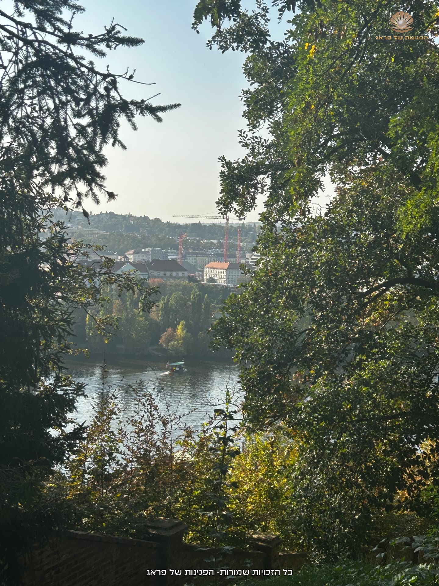 A green corner beside the river